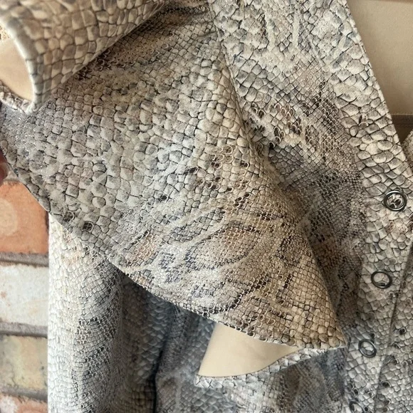 Karlie Ruffle Python Print Snap Front Dress - Picture 6 of 10